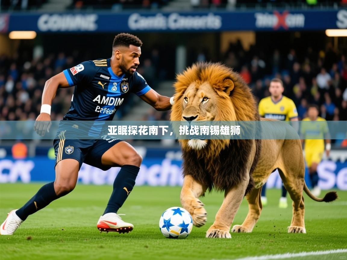 2025完美体育手机网页版亚眠探花南下，挑战南锡雄狮